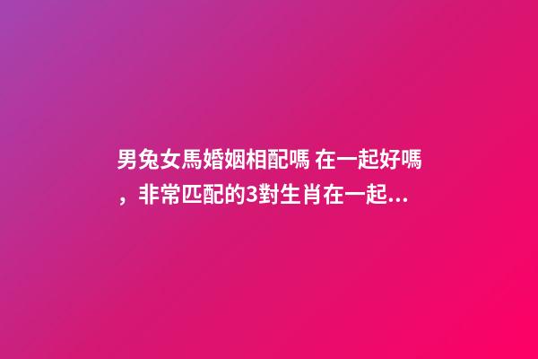男兔女馬婚姻相配嗎 在一起好嗎，非常匹配的3對生肖在一起恩愛有加-第1張-觀點-玄機派